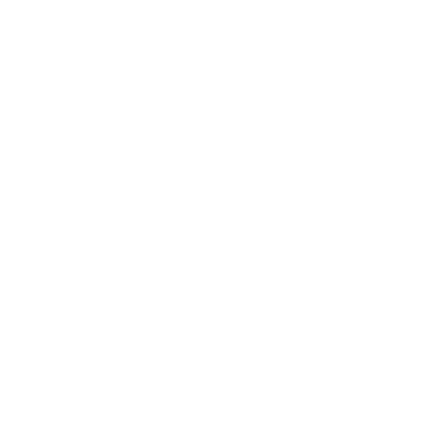 Rovic Cruz full logo